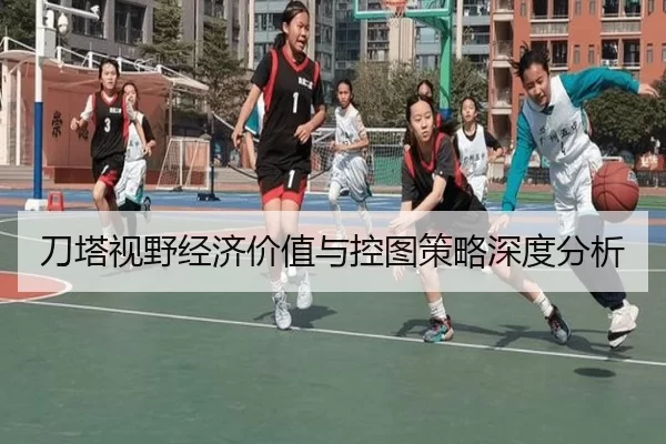 刀塔视野经济价值与控图策略深度分析
